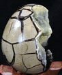 Septarian Dragon Egg Geode - Yellow Calcite #34703-2